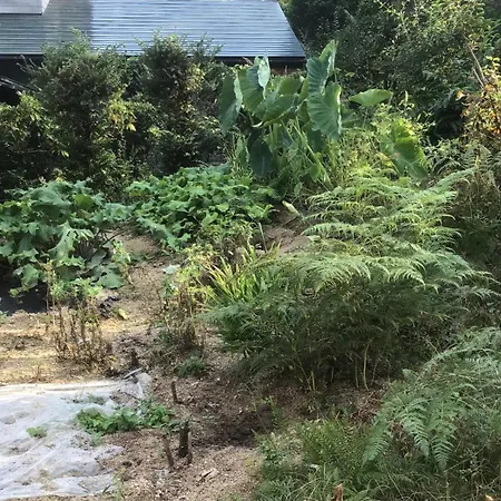 森の小人 Villa Azumino Exterior photo