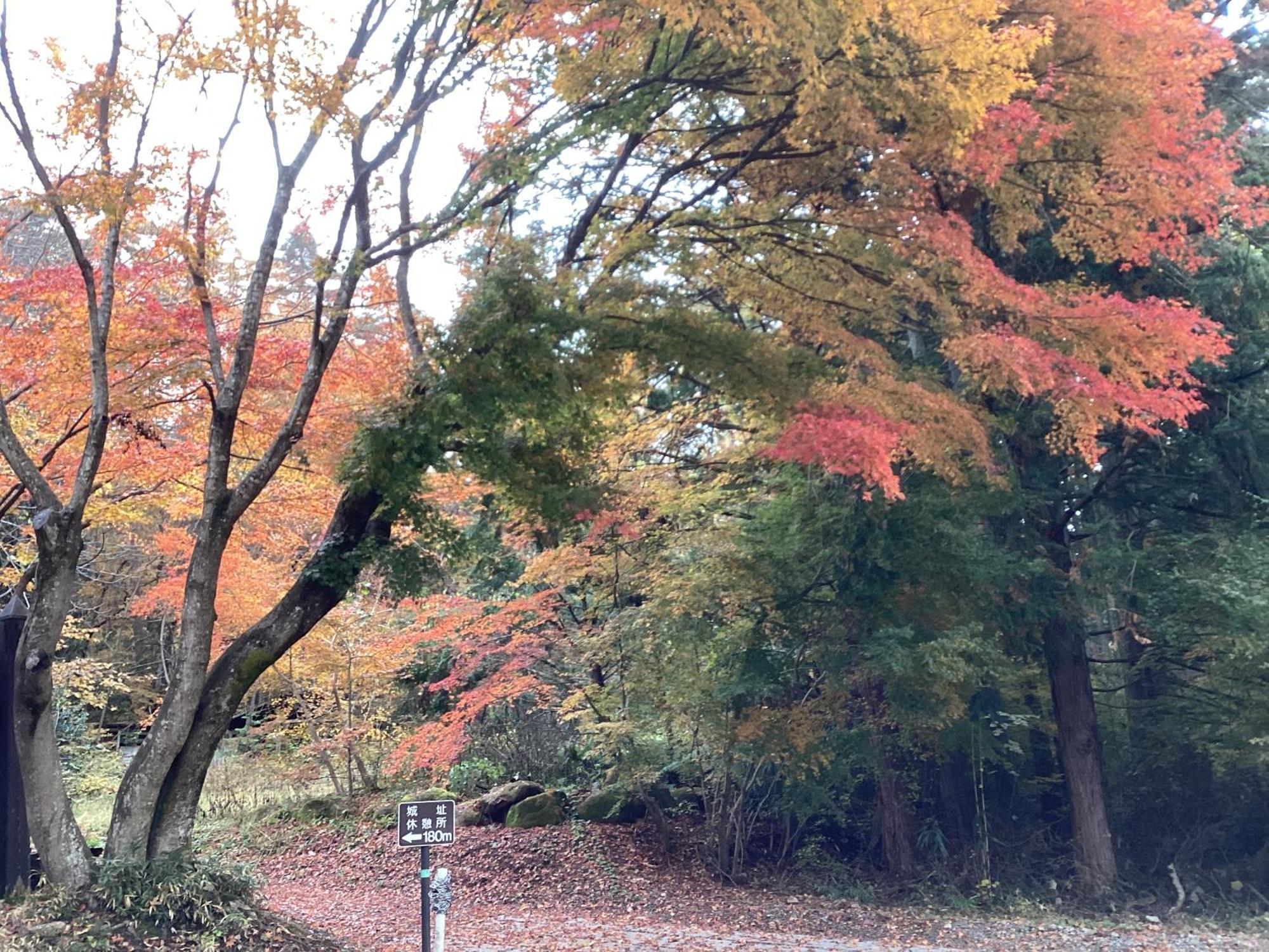 Holiday home 森の小人 *